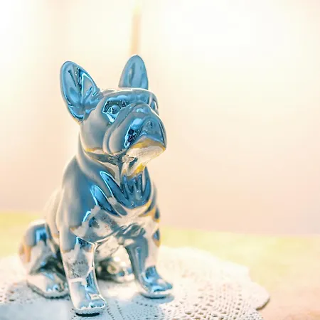 Premium 4 Etoiles, Spacieux Avec Sauna Et Exterieur * Le Mesnil-sur-Oger